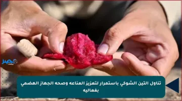 تناول التين الشوكي باستمرار لتعزيز المناعة وصحة الجهاز الهضمي بفعالية